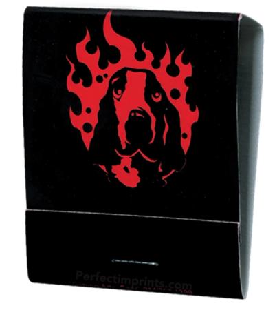 20 Stem Match Books Red Logo on Black