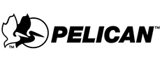 pelican