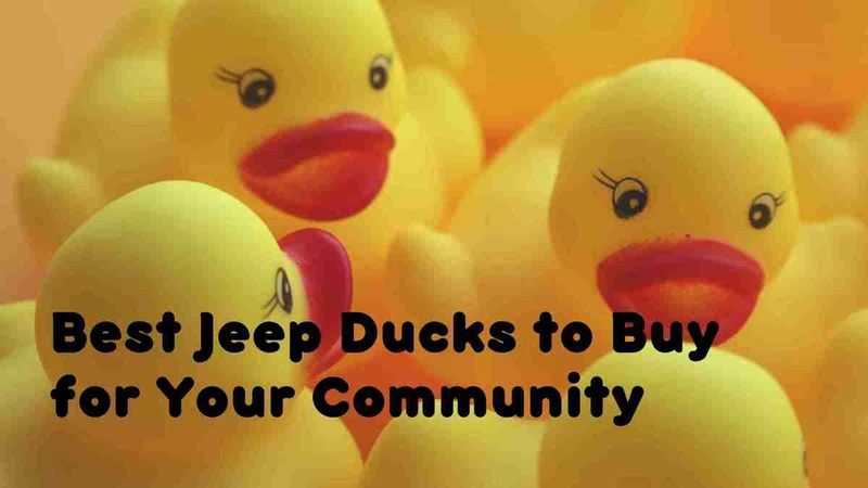 Best Jeep Ducks to Buy for Your Community