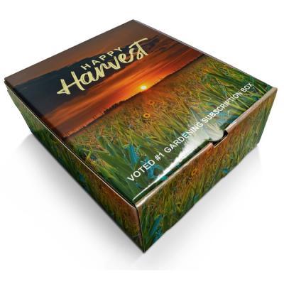 Demeter Presentation Box - 8" x 9.125" x 3.625"