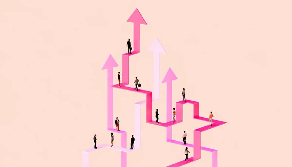 Career paths and professional growth opportunities