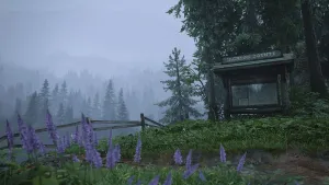 A park information board at a trail head reads "Jackson County". In the foreground are wild lavender flowers. In the background, a rundown wooden fence leads off to the left, and the forest and mountains in the far distance are obscured by rain and fog.