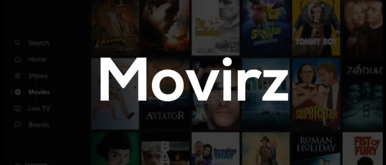 A person watching movies on laptop representing movirz online streaming entertainment