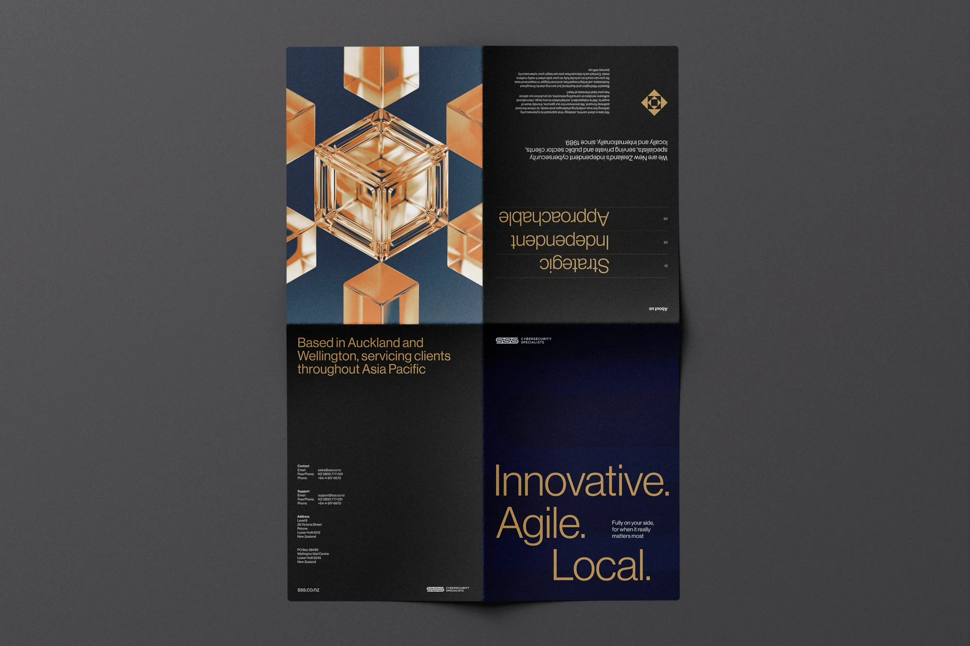 A top down view of the front side of a triple-s brochure, in black and blue