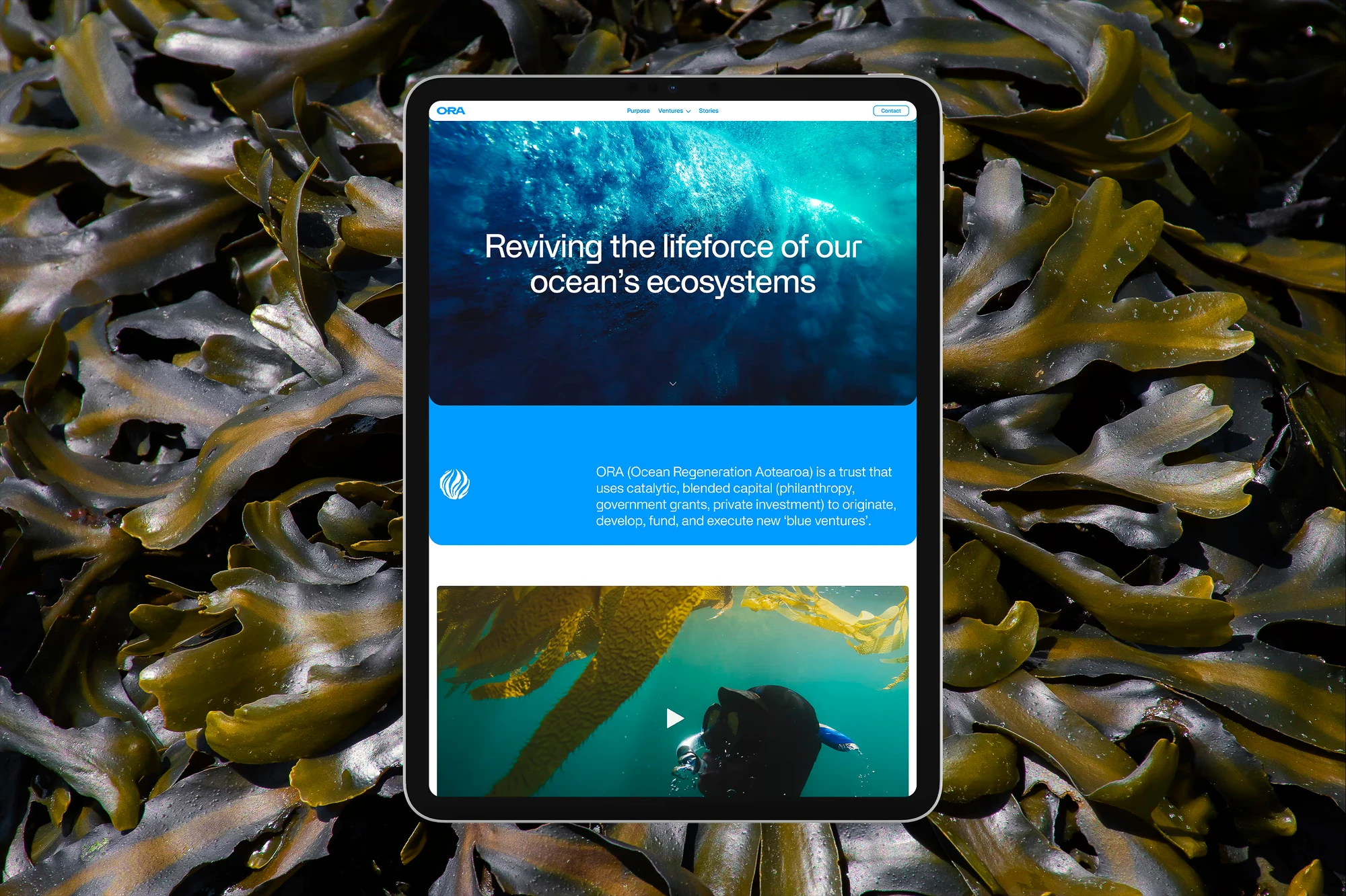 The ORA website homepage is displayed on an iPad, against a backdrop of seaweed