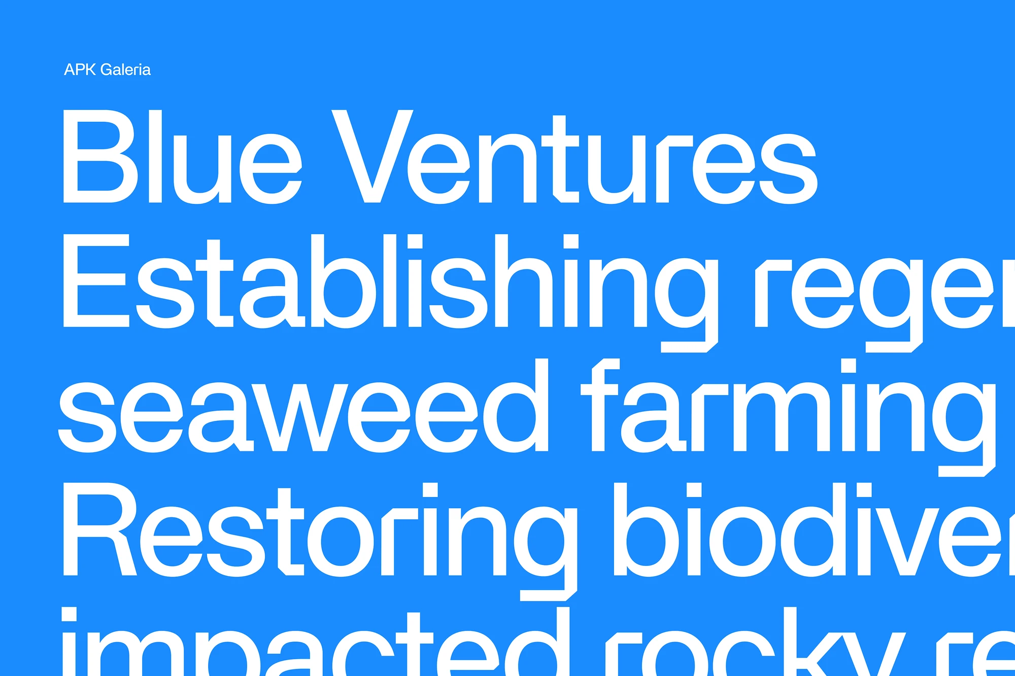 A graphical display of the brand's primary font APK Galeria.