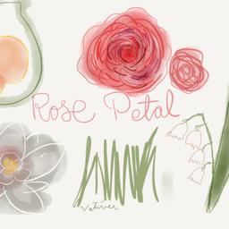 PERFUME - ROSE PETALS.