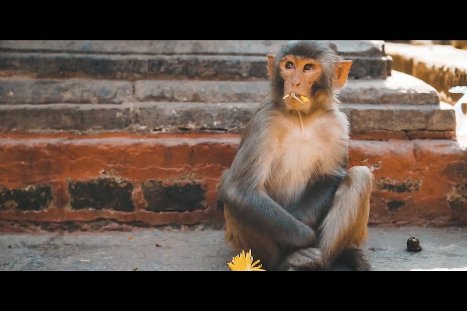 Kathmandu temples and streets