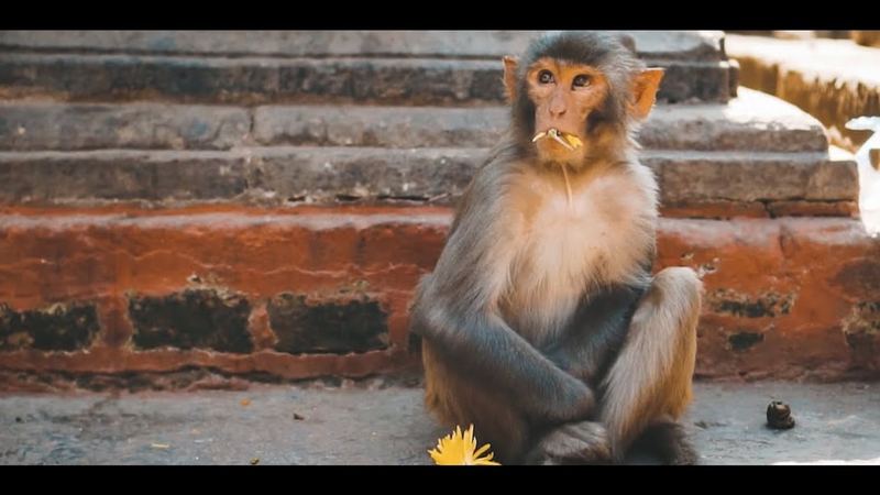 Kathmandu temples and streets