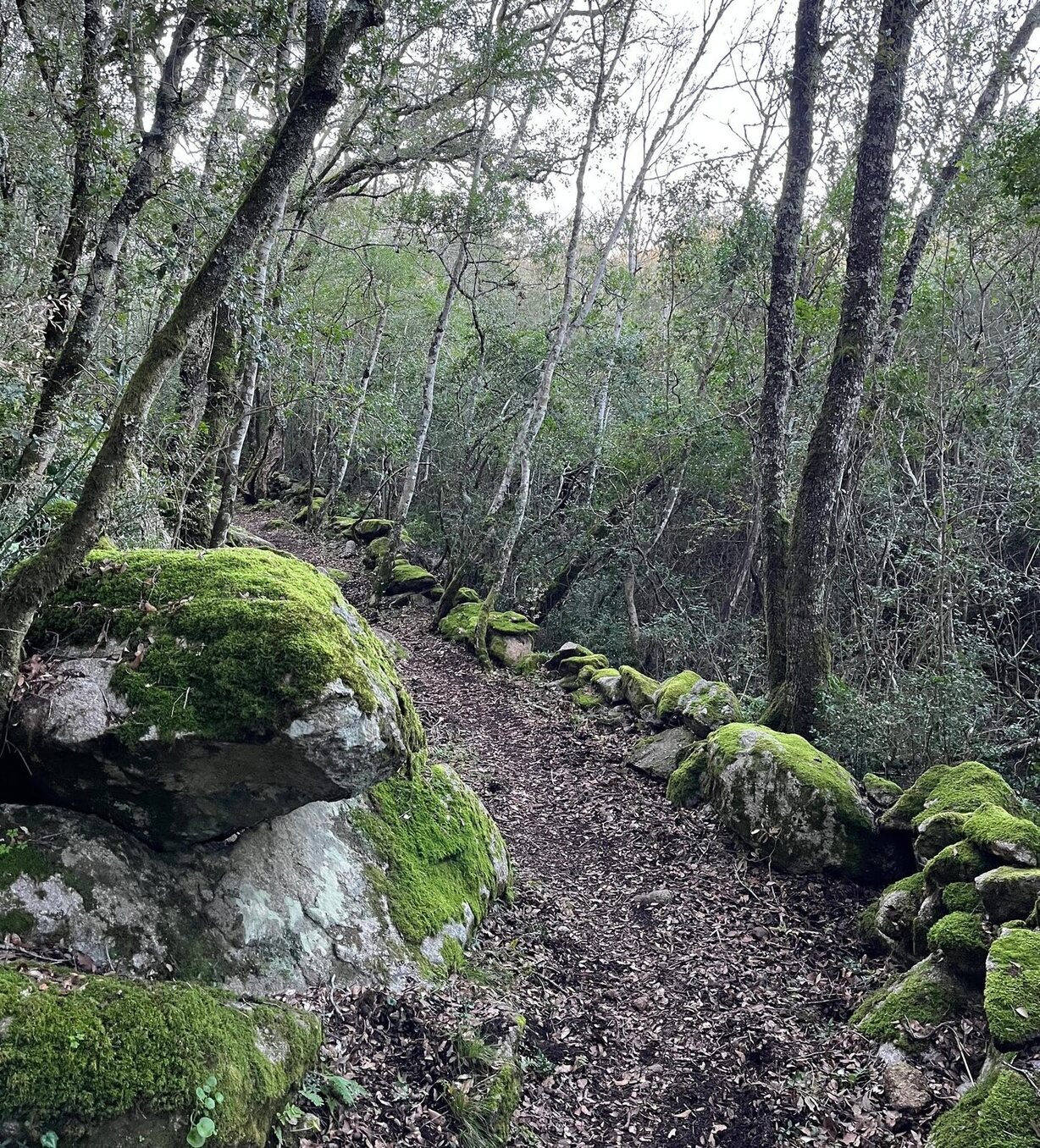 A la découverte des sentiers proches de Petripini
