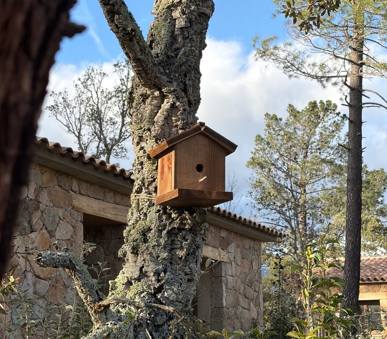Une journée à Petripini