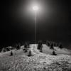 Traffic Island - QEW and 427, Toronto, Ontario