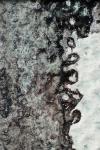 Details (2012)