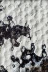 Details (2012)
