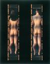 
			
				Project: Reconstructed Bodies; Image Title:  Reconstructed Bodies (2002) 
			
		