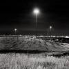 Traffic Island - QEW and 427, Toronto, Ontario