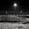 
			
				Traffic Island - QEW and 427, Toronto, Ontario
			
		