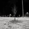 Traffic Island - QEW and Erin Mills Parkway, Mississauga, Ontario