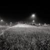 Traffic Island - QEW and Erin Mills Parkway, Mississauga, Ontario