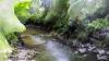 
			
				Canoeing the Black Creek (Video Still)
			
		