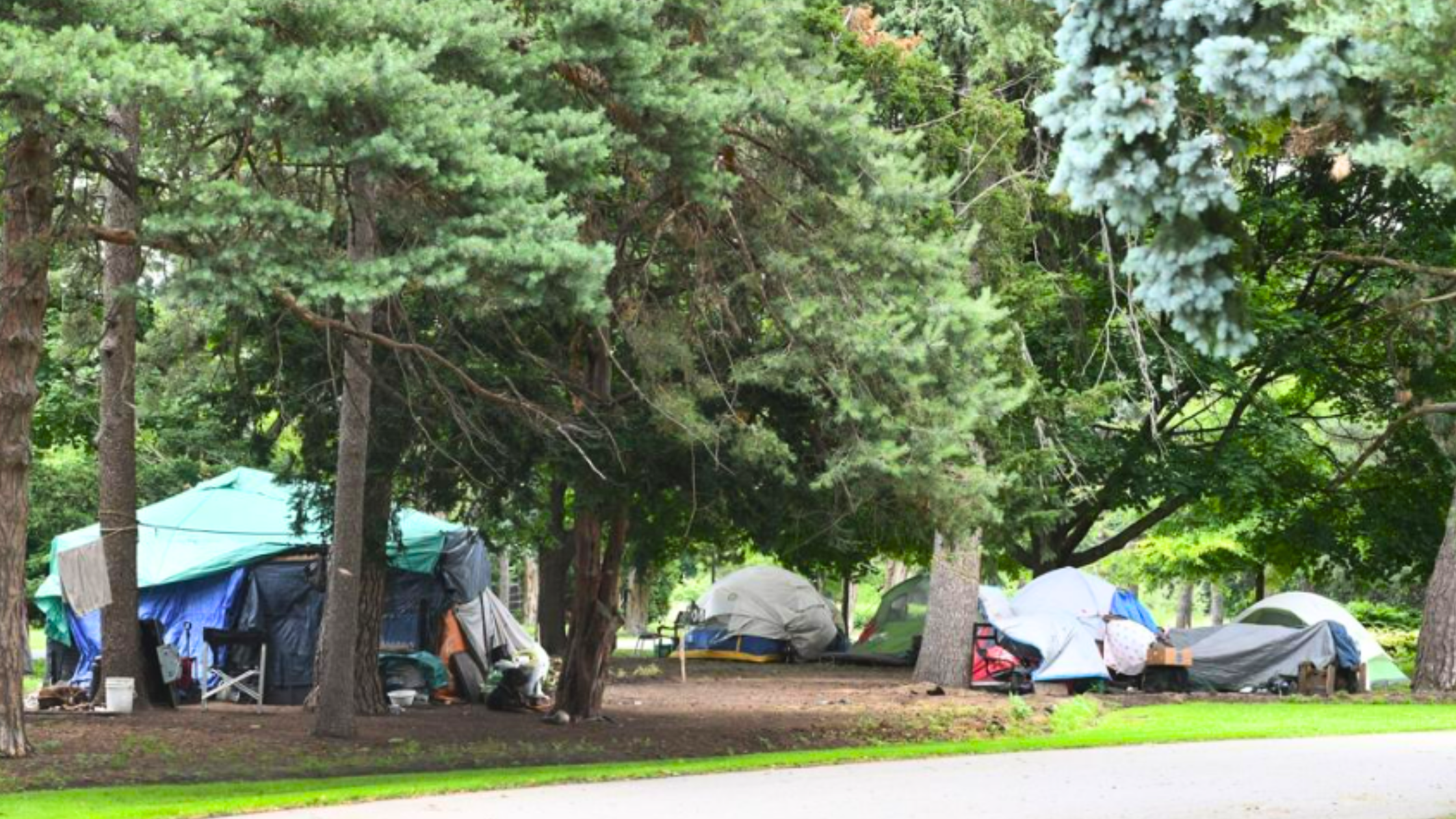 Horwath flexes ‘strong mayor’ powers, calls for sanctioned sites for Hamilton’s homeless photo