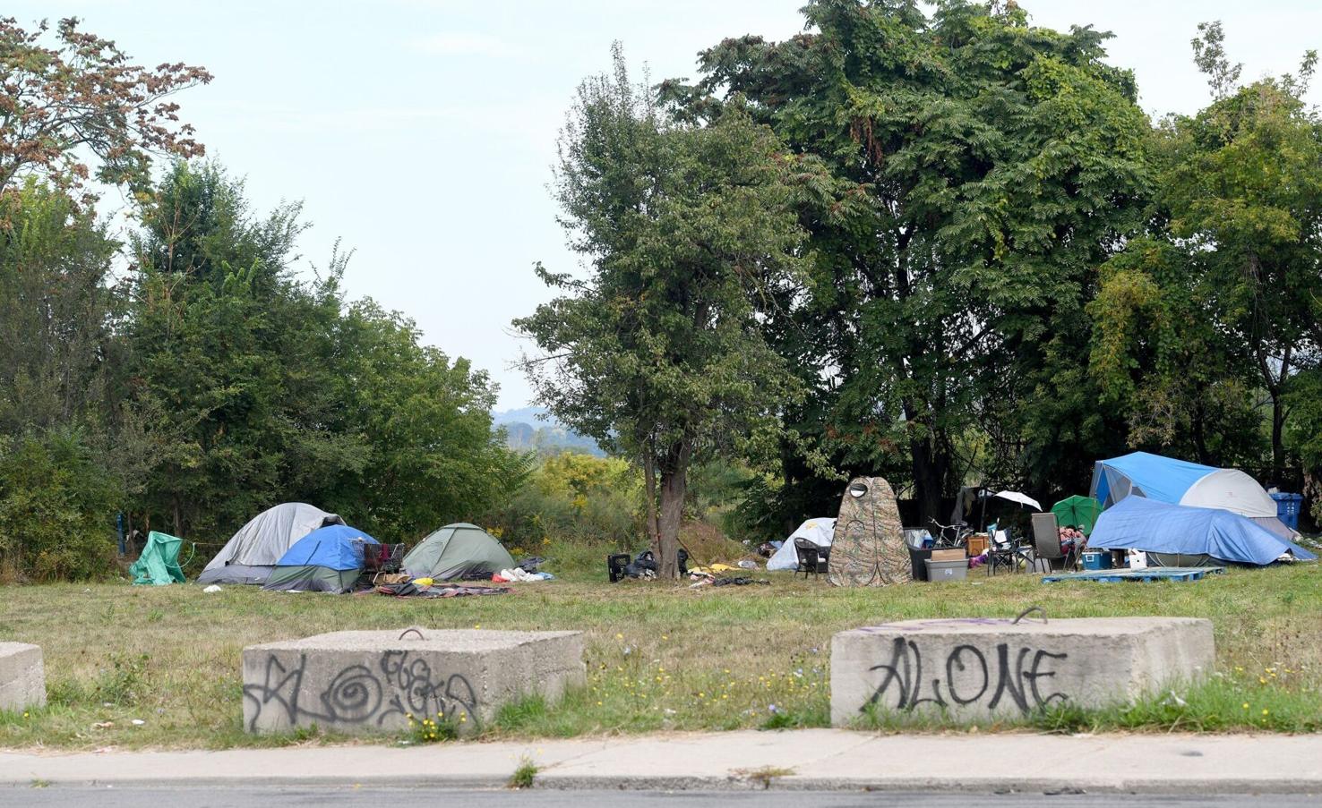 Hamilton pivots to small cabins at brownfield site to address homelessness crisis photo
