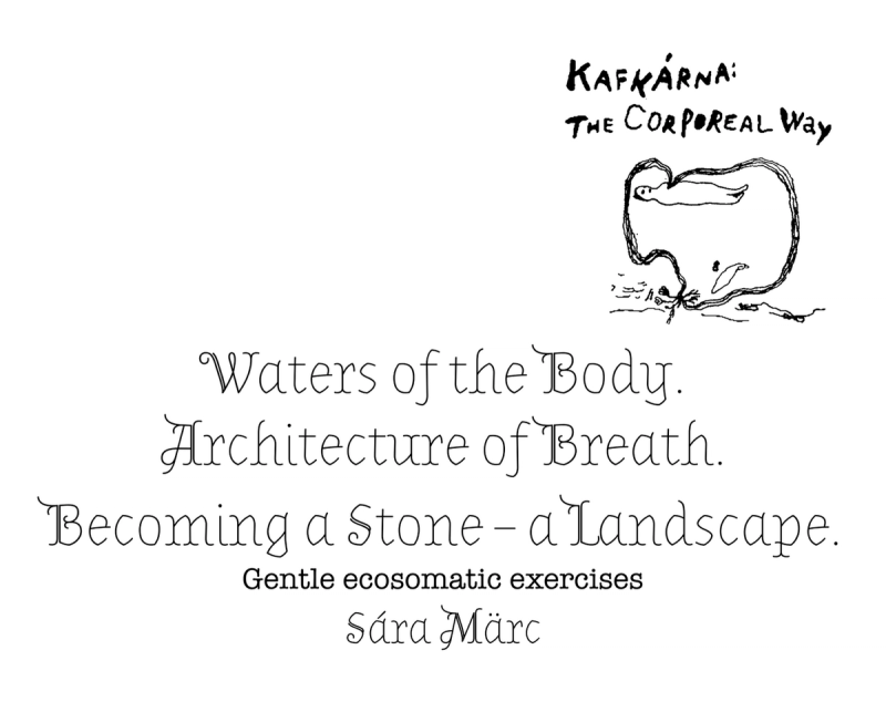 Sára Märc – Waters of the Body. Architecture of Breath. Becoming a Stone – a Landscape. Gentle ecosomatic exercises