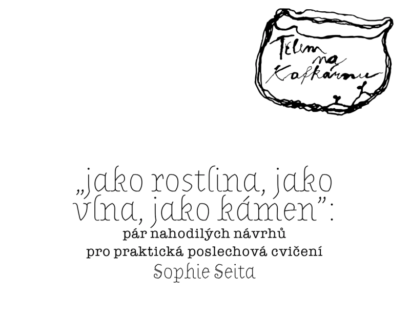 Sophie Seita – „jako rostlina, jako vlna, jako kámen”: pár nahodilých návrhů pro praktická poslechová cvičení