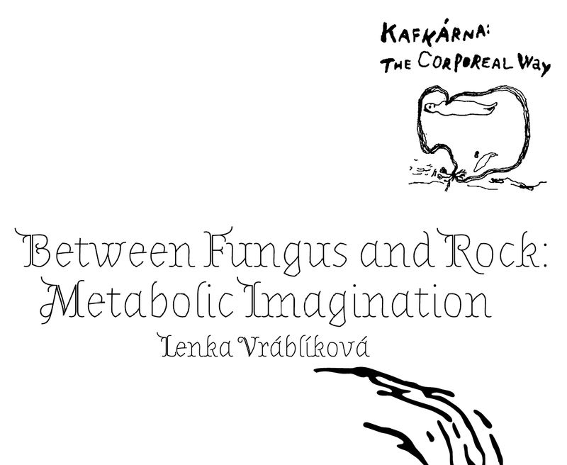 Lenka Vráblíková – Between Fungus and Rock: Metabolic Imagination