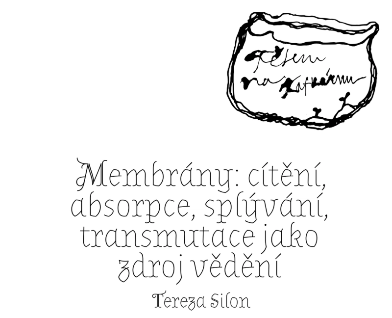 Tereza Silon – Membrány: cítění, absorpce, splývání, transmutace jako zdroj vědění
