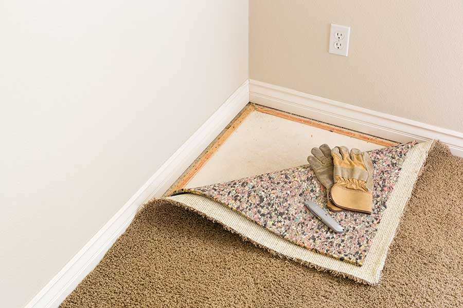 Featured image for Carpet Cushion