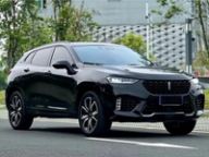 2019 WEY VV7  2.0T Flagship Edition