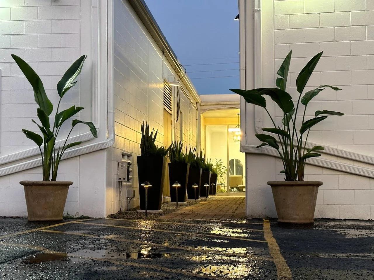 Hello Sugar Orlando | College Park