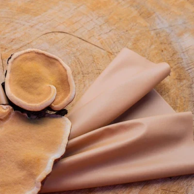 ภาพปกของบทความ เจาะลึกหนังวีแกน: จากทางเลือกสู่ความหรูหราในยุคใหม่