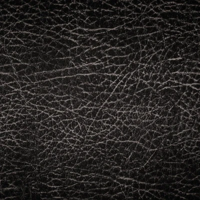 ภาพปกของบทความ หนังควาย คืออะไร