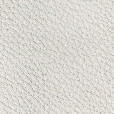 ภาพปกของบทความ หนังบอนด์ (Bonded Leather) คืออะไร?