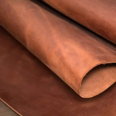 ภาพปกของบทความ หนังประเภทไหนทนทานที่สุด?