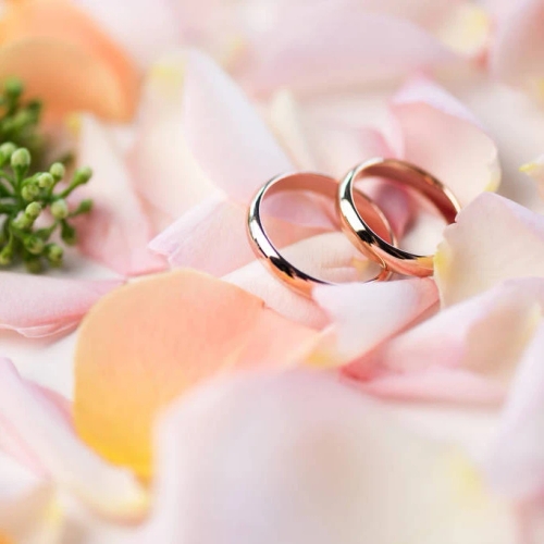 แหวนคู่สีโรสโกลด์สองวงวางซ้อนกันบนกลีบดอกกุหลาบสีชมพูและสีพีชที่ดูอ่อนหวาน