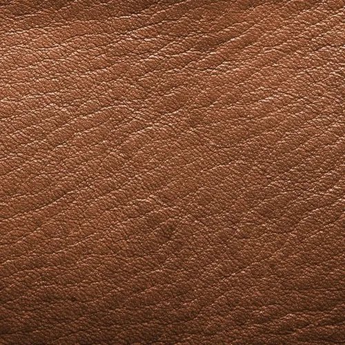 ภาพปกของบทความ หนังท็อปเกรน คืออะไร