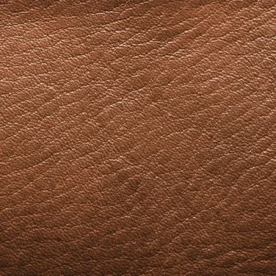 ภาพปกของบทความ หนังท็อปเกรน คืออะไร