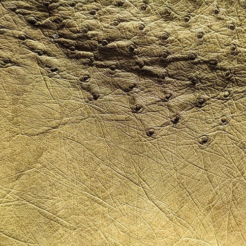 พื้นผิวหนังนกกระจอกเทศสีน้ำตาลอมเหลือง แสดงลวดลายธรรมชาติและปุ่มนูนอันเป็นเอกลักษณ์