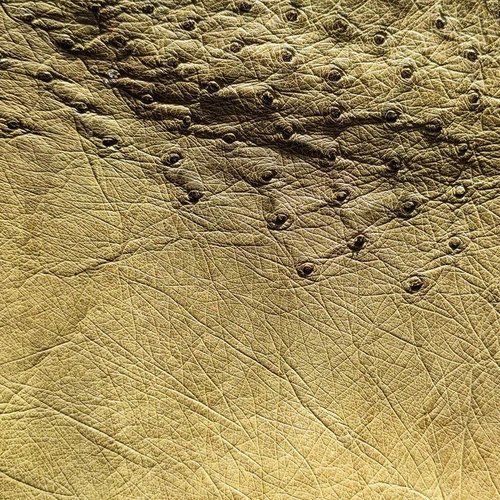 พื้นผิวหนังนกกระจอกเทศสีน้ำตาลอมเหลือง แสดงลวดลายธรรมชาติและปุ่มนูนอันเป็นเอกลักษณ์