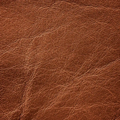 ภาพปกของบทความ bovine leather คืออะไร
