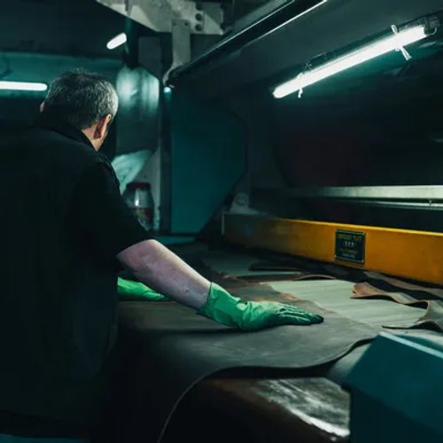 พนักงานในโรงฟอกหนังกำลังตรวจสอบคุณภาพหนังวัว