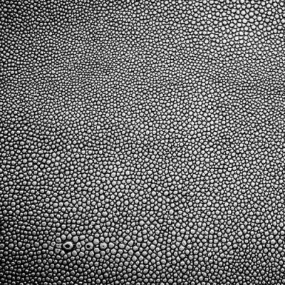 ภาพปกของบทความ กระเป๋าหนังปลากระเบน ความเชื่อที่ผูกพันกับความมั่งคั่งและการปกป้อง