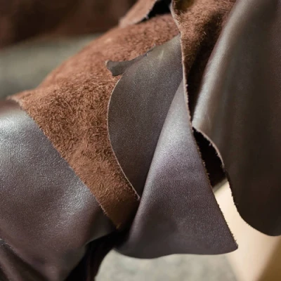 ภาพปกของบทความ หนังนิ่ม คืออะไร