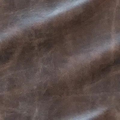 ภาพปกของบทความ หนังแกะ: สัมผัสแห่งความหรูหราที่ไม่เหมือนใคร