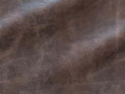 ภาพปกของบทความ หนังแกะ: สัมผัสแห่งความหรูหราที่ไม่เหมือนใคร