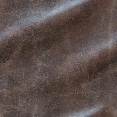 ภาพปกของบทความ หนังแกะ: สัมผัสแห่งความหรูหราที่ไม่เหมือนใคร