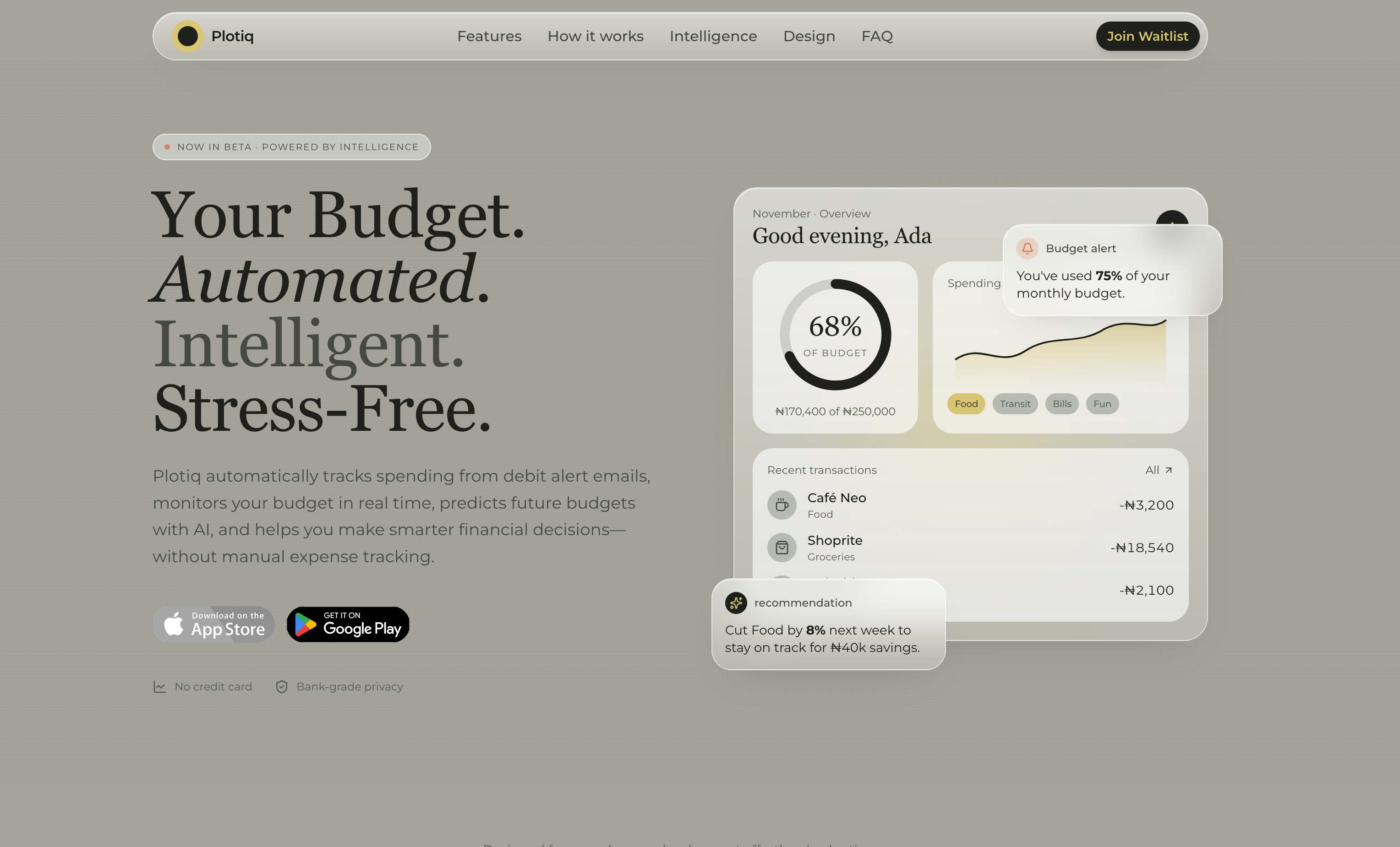 Plotiq — AI-powered budgeting app project preview